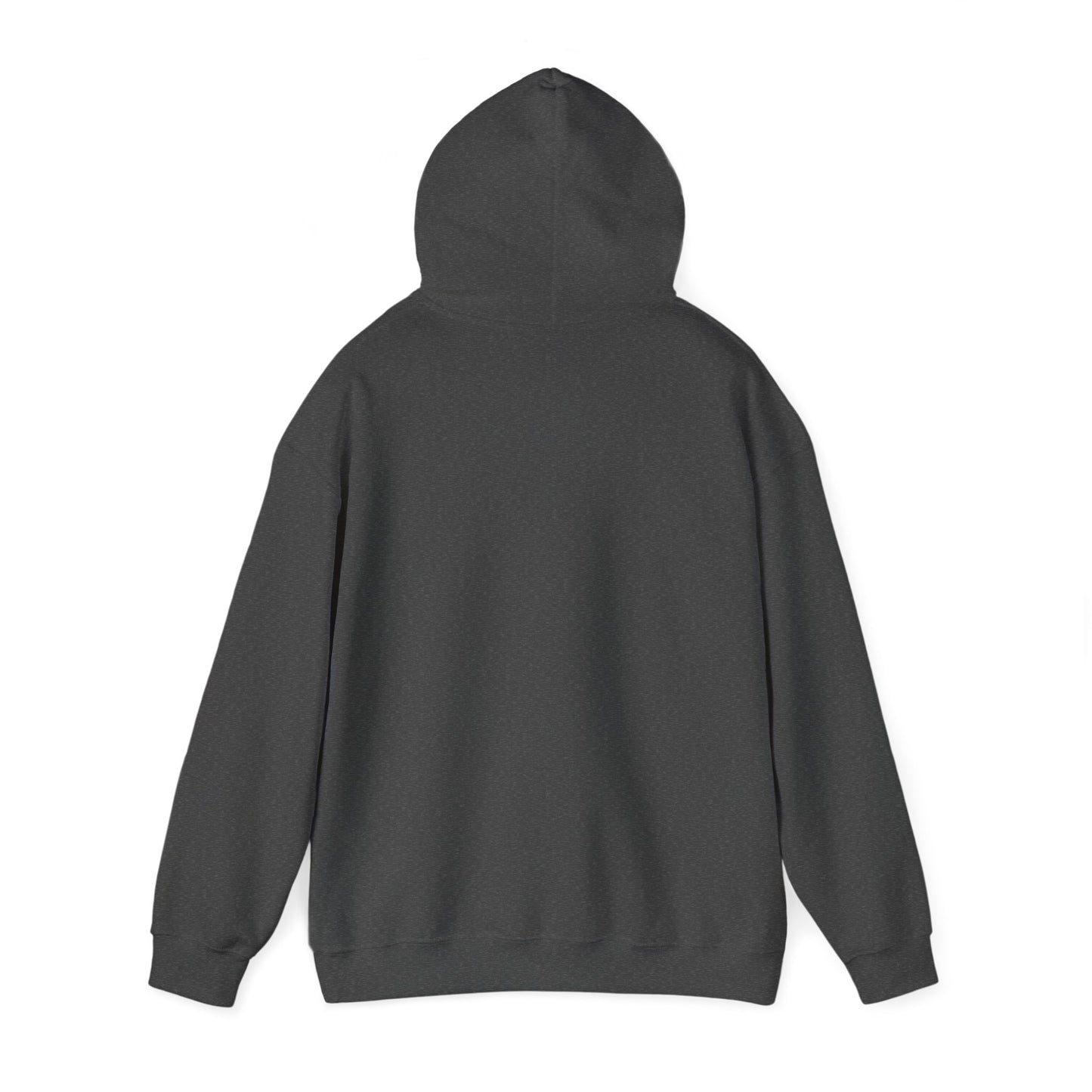 Hooded Sweatshirt - No Pain, No Gain